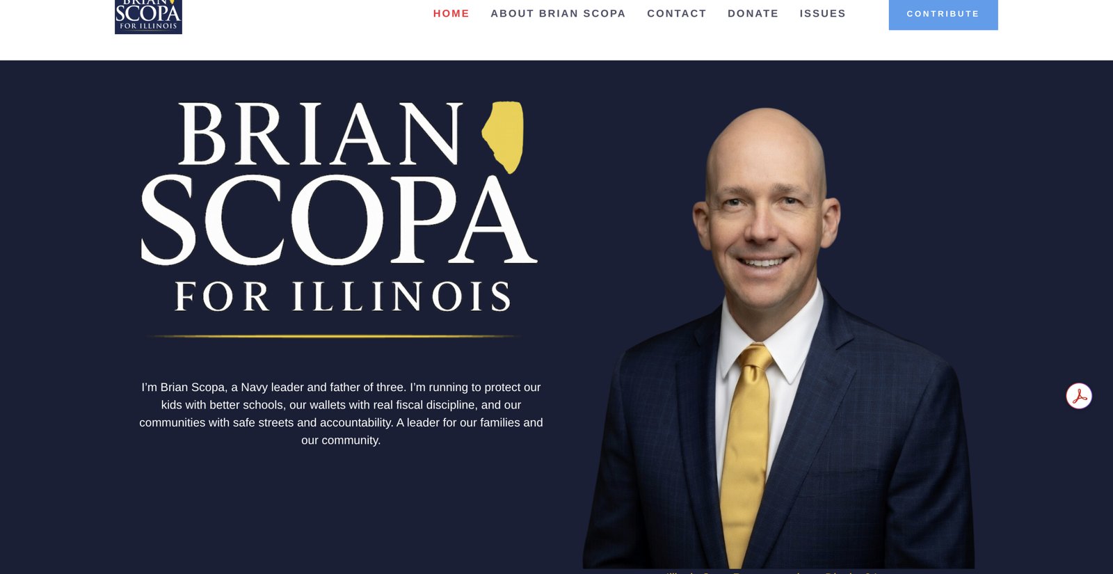 Old Scopa for Illinois website